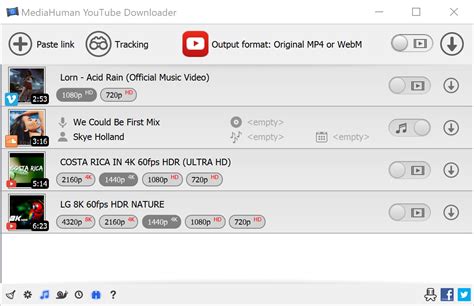 youtube downloadeer